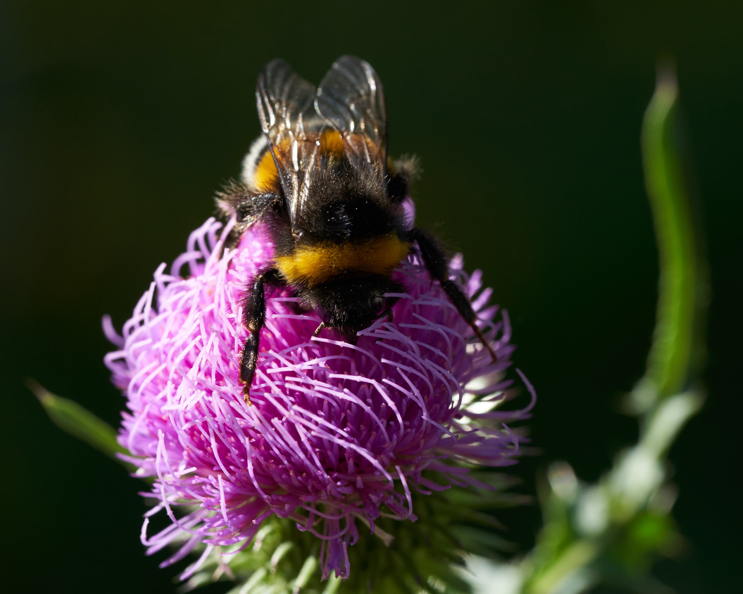 Landschaftspark Nord 0206